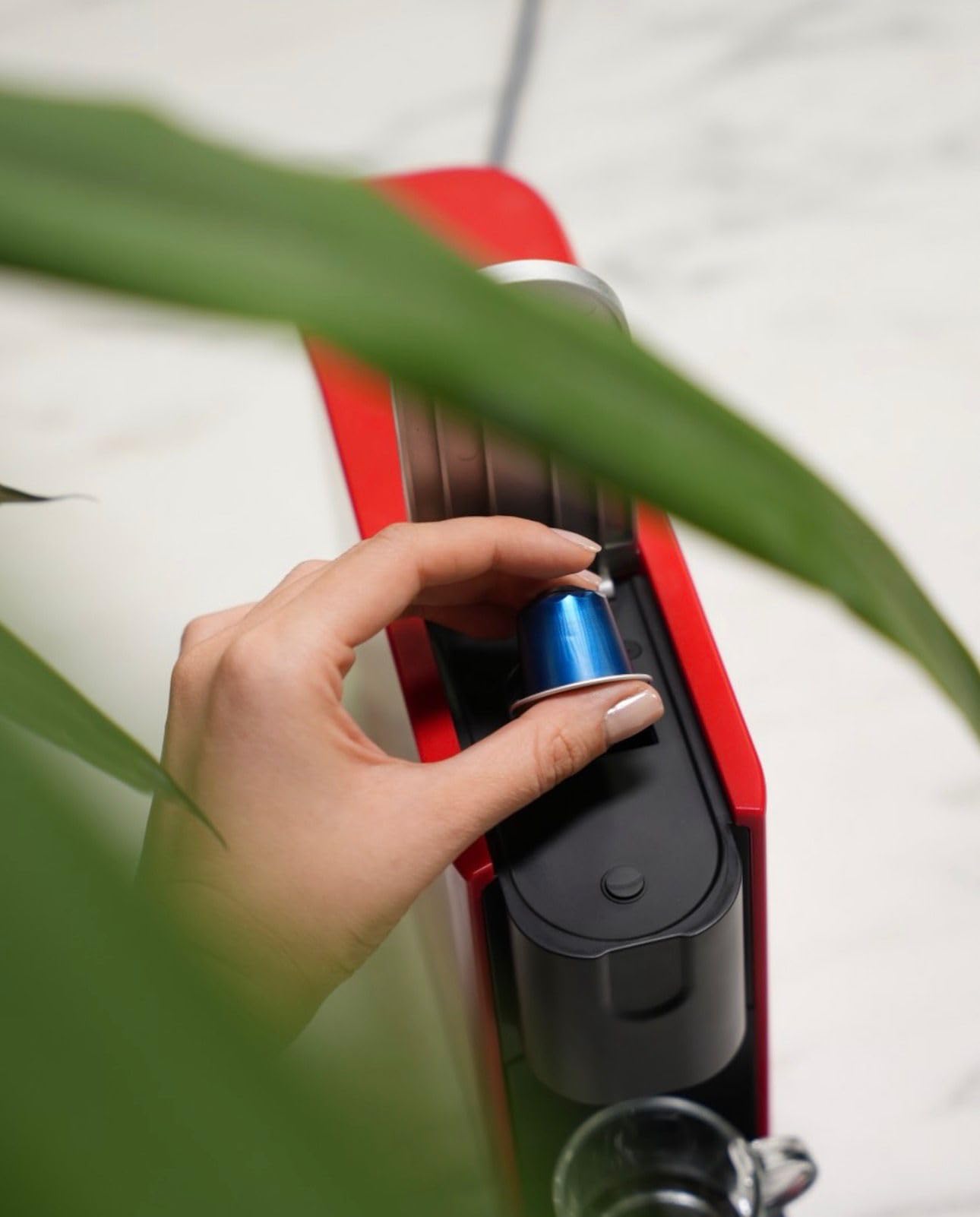 omnex ox pro red edition omnex ox pro red edition